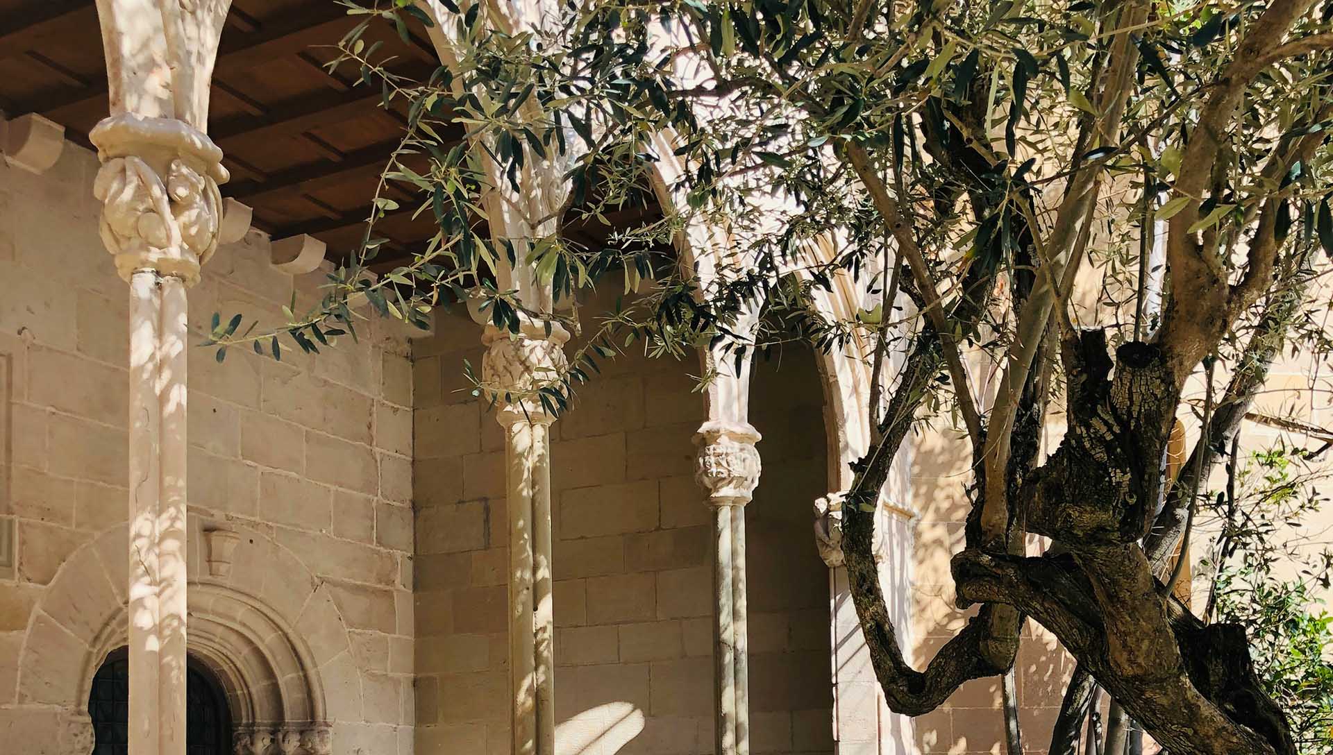 مجلة الزيتونة